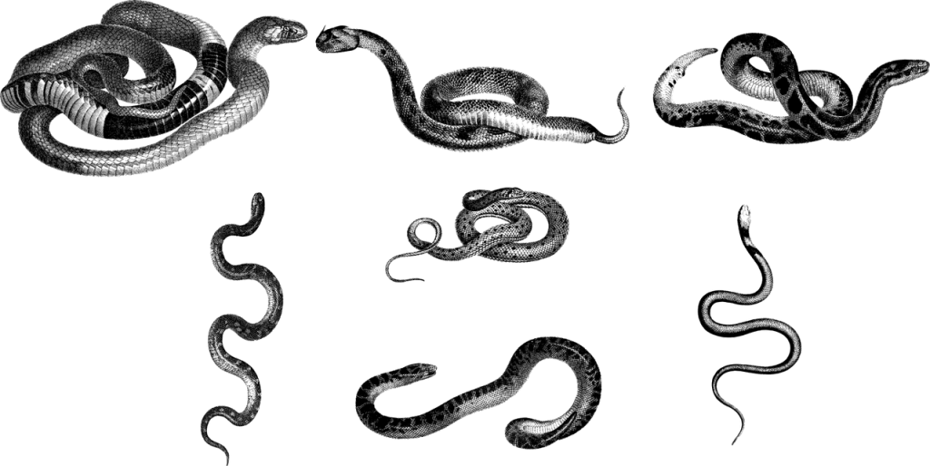serpi