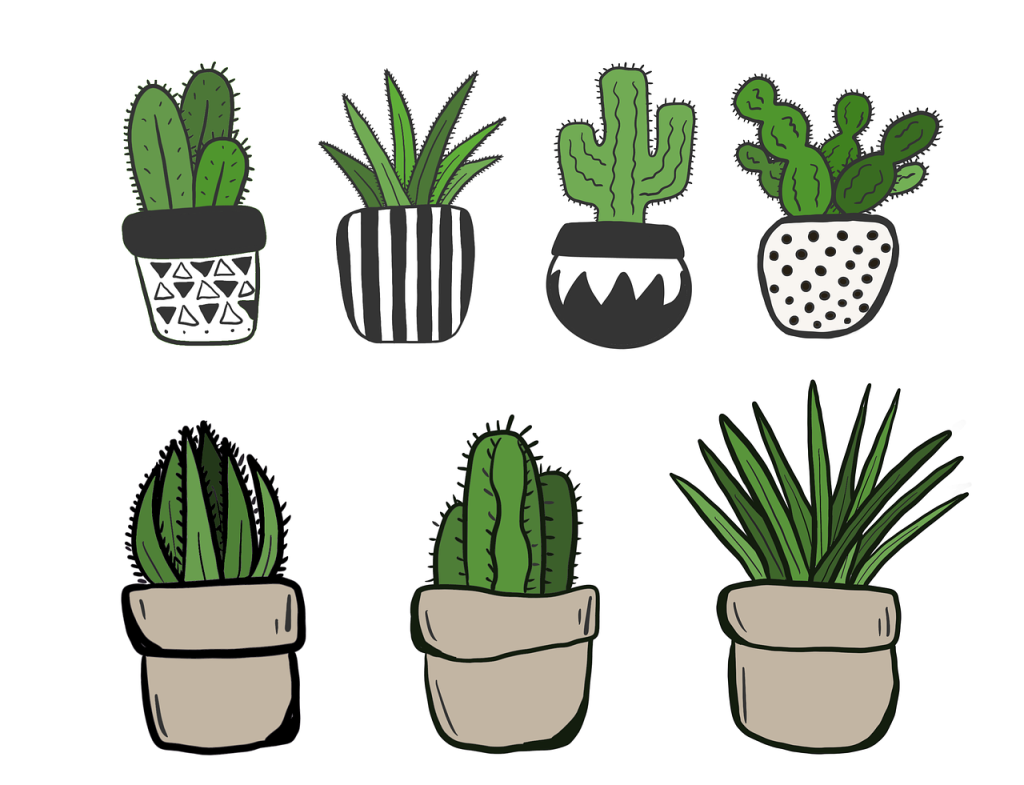 plante