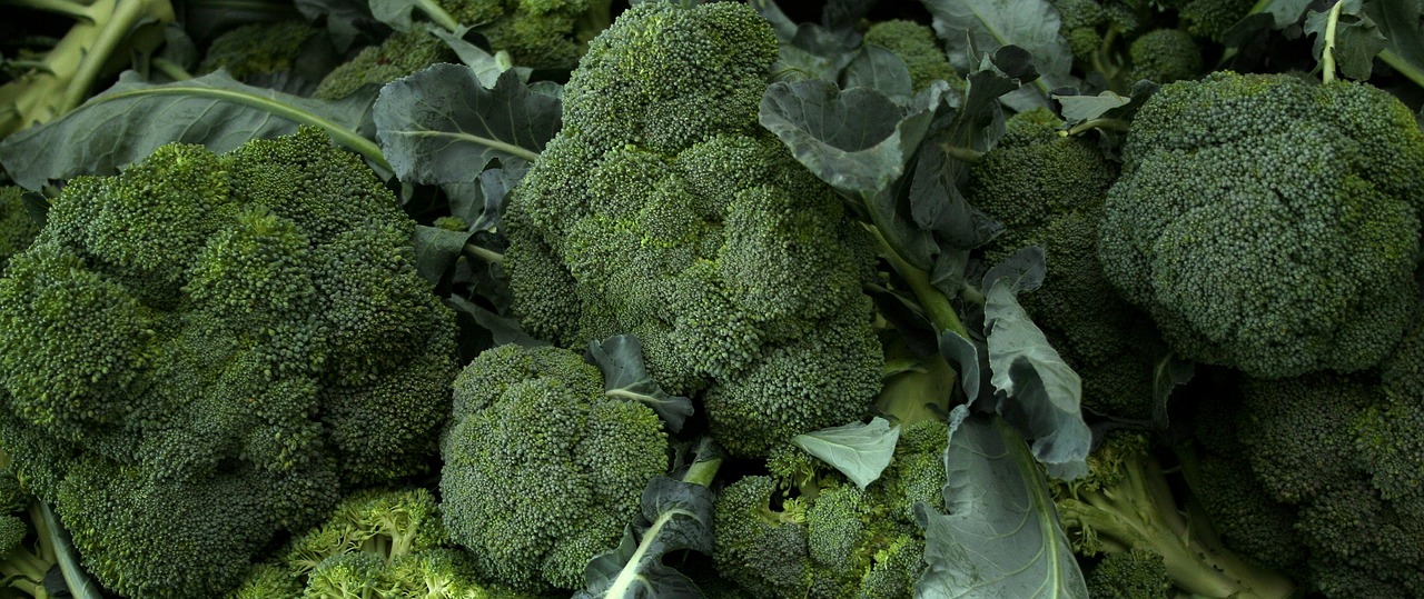 cultivarea broccoli in gradina