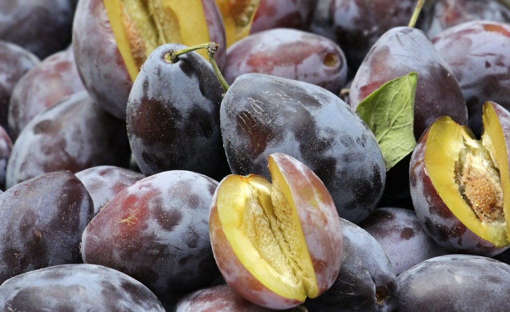taierea prunilor iarna
