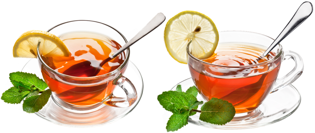 plantare seminte menta