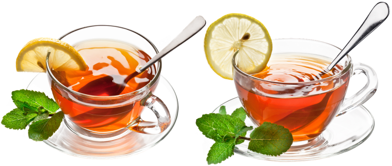 plantare seminte menta