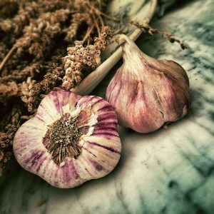 cu ce se trateaza usturoiul inainte de plantare