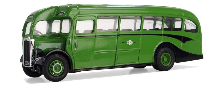 distanta plantare leylandii