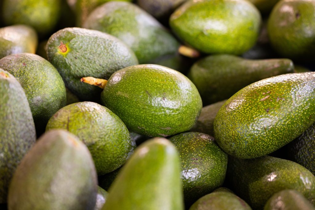plantare avocado in ghiveci