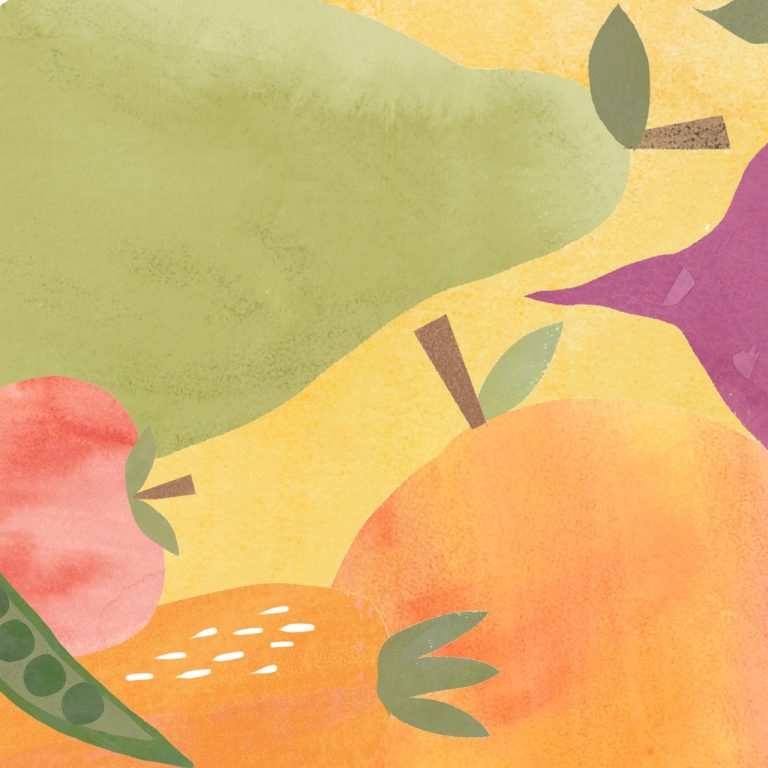 plantare capsuni pe verticala