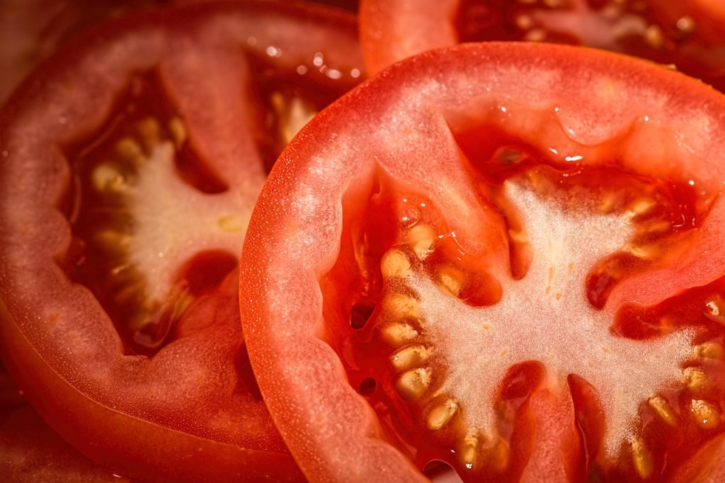 udarea rasadurilor de rosii dupa plantare
