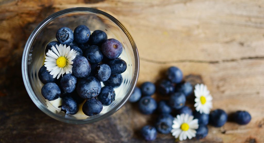 afin bluecrop plantare