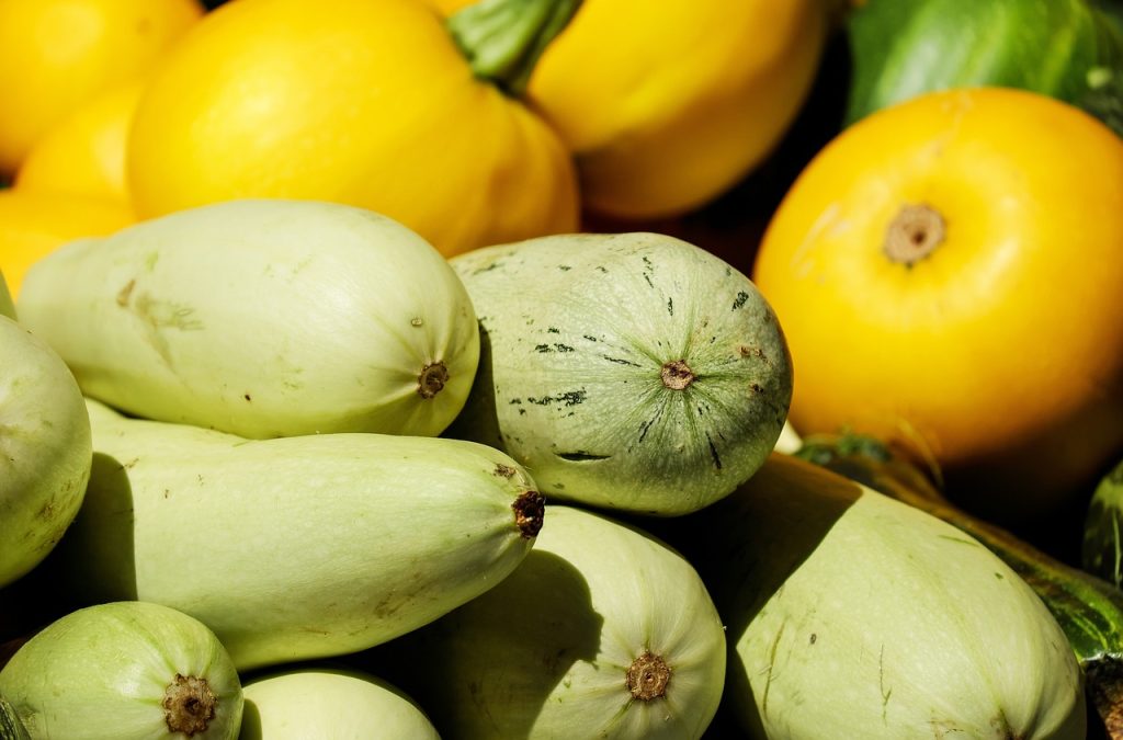 dovlecei plantare si ingrijire