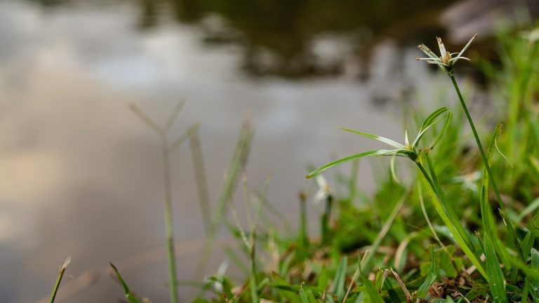 mesaje de buna dimineata pentru iubita