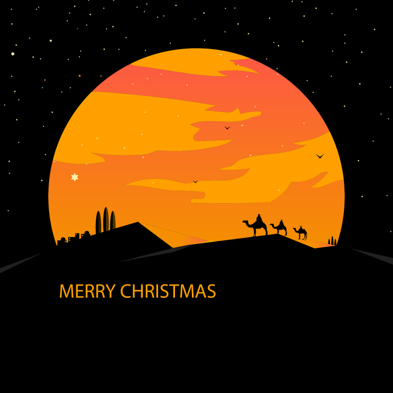 ce inseamna check in