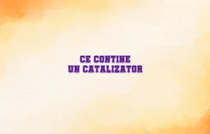 ce contine un catalizator