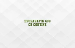 declaratia 406 ce contine