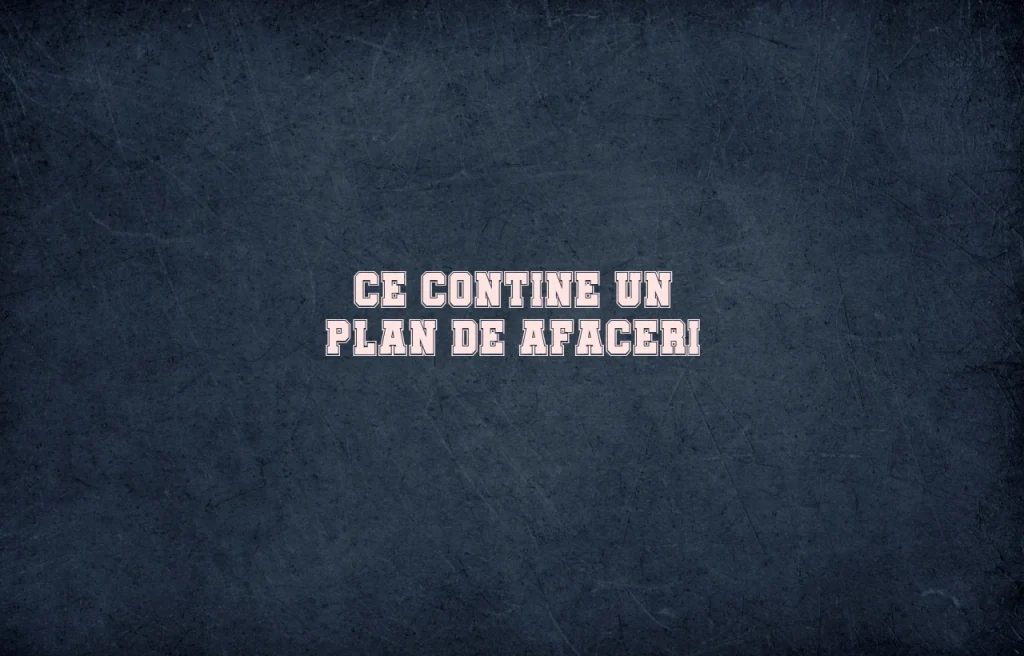 ce contine un plan de afaceri