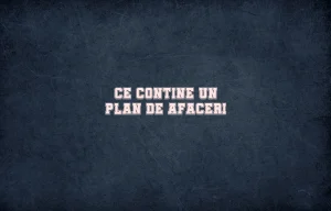 ce contine un plan de afaceri