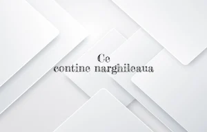 ce contine narghileaua