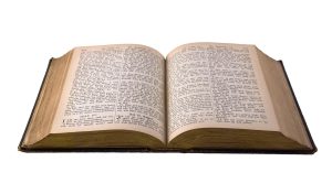 emotie de toamna nichita stanescu comentariu