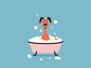 cate rate trebuie la un ratoi