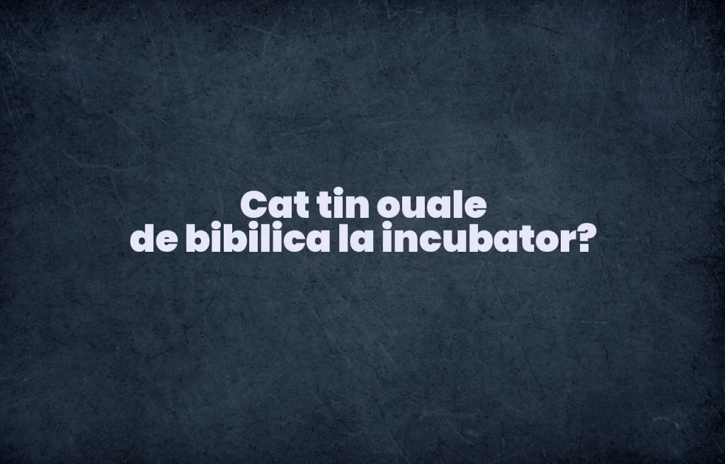 cat tin ouale de bibilica la incubator