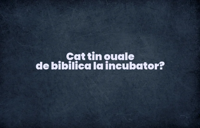 cat tin ouale de bibilica la incubator
