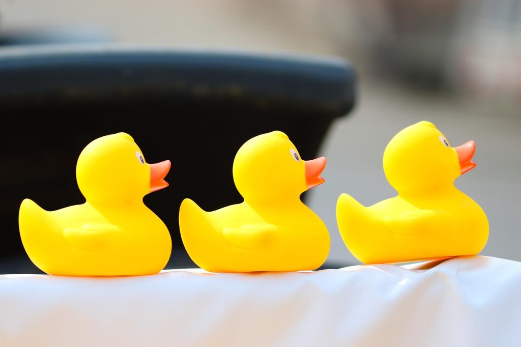 cat mananca o rata pe zi