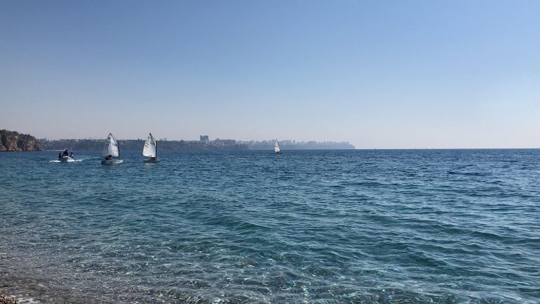 de ce mor pui de curca