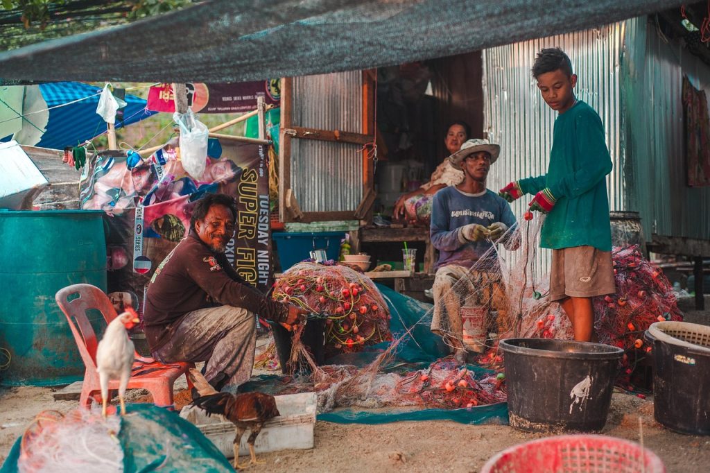 cate gaini trebuie la un cocos