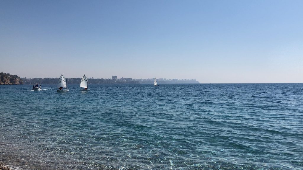 cat mananca un curcan pe zi