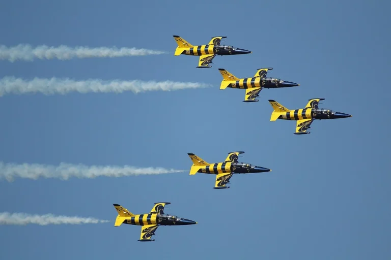 matt damon but stung by bees