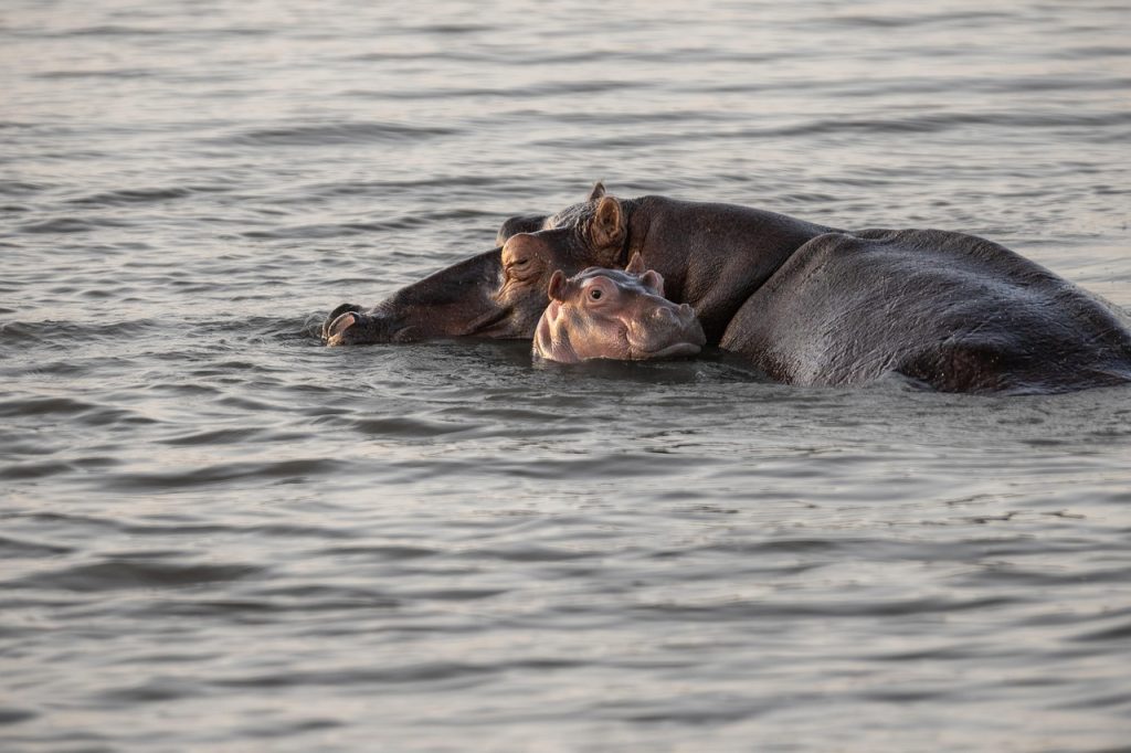 familia lui johnny depp
