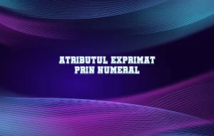 atribut numeral