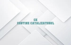 ce contine catalizatorul
