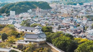 castelul himeji