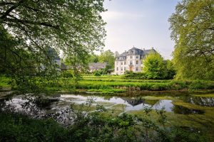 castelul sturza