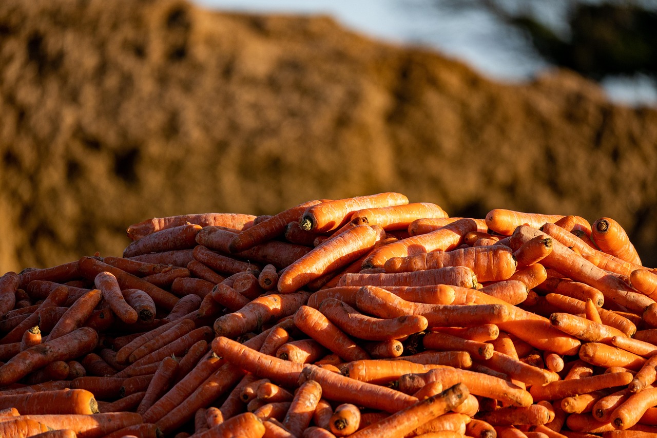 ce se da la vaci sa intre in calduri